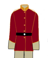 Mountain Homeguard Enlisted Field Uniform Version 1.png