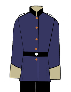 Long Patrol 20th Mountain enlisted dress uniform.