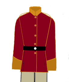 Long Patrol Home Guard enlisted dress uniform.